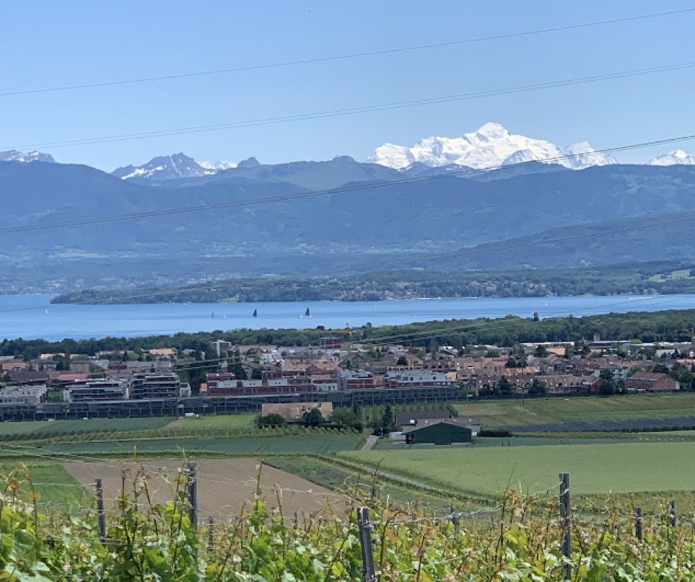 Nyon | Maison de maître à louer